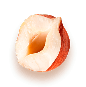 Фундук оптом